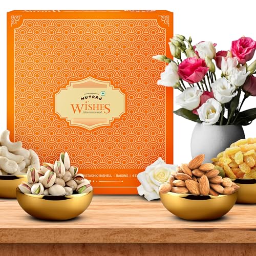 Nutraj Wishes Healthy Goodness 500G Diwali Dry Fruit