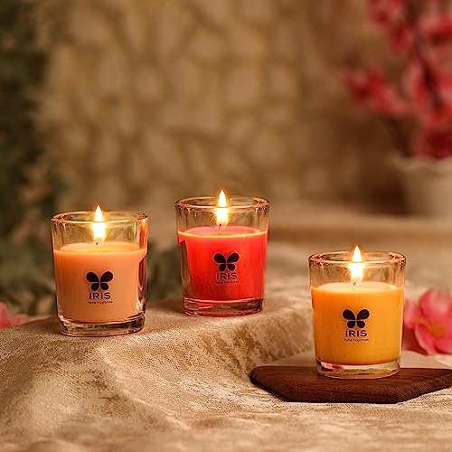 IRIS Shot Glass Candle Set of 3 | Damask Rose, Peach