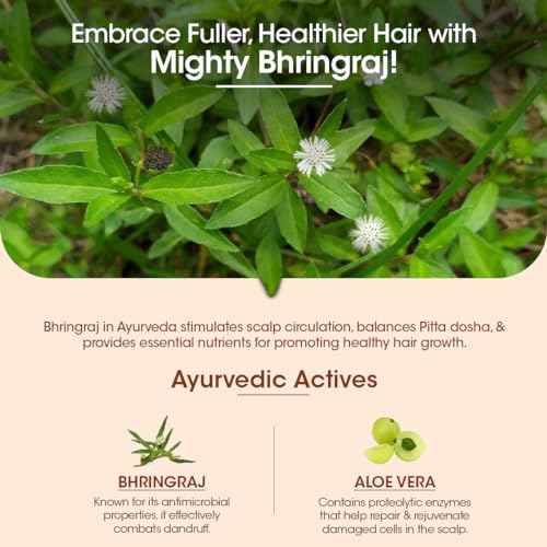 TAC - The Ayurveda Co. Bhringabali Hair Shampoo with Bhringraj