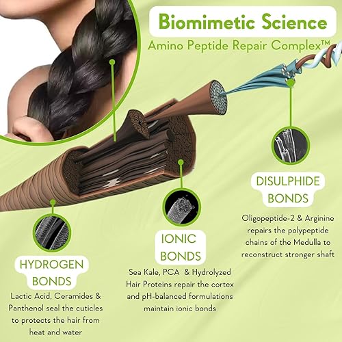 WishCare Triple Bond Repair Booster Hair Serum - 10% AminoPeptide Complex Repairs Damaged & Frizzy Hair