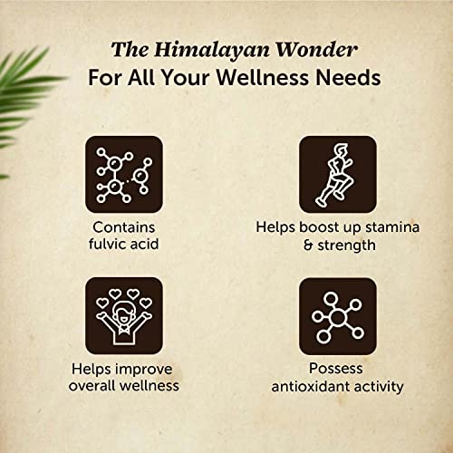 Neuherbs Pure Himalayan Shilajit/Shilajeet Resin With 75% Fulvic Acid - 20 gm (0.04 Lb), Resin