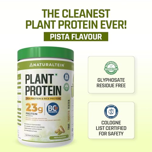 Naturaltein 100% Natural Plant Protein - Pista