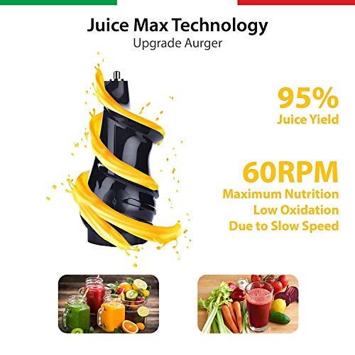 Balzano LDDC-1507 150 W, Cold Press Slow Juicer