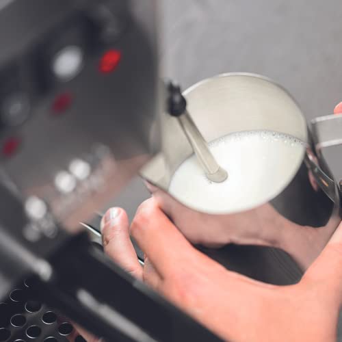 Gaggia 1425W Classic Pro Commercial Espresso Machine