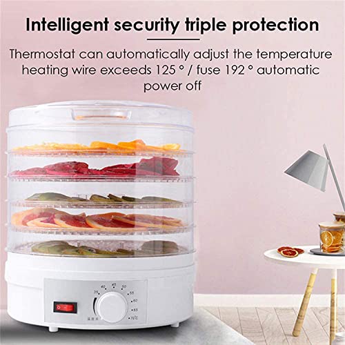 AubeAlba Food Dehydrator (Preserver and Jerky Maker)
