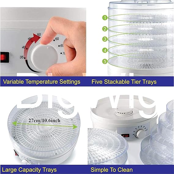 BigWig Food Dehydrator Machine Dehydrate Beef Jerky Meat Mushrooms Fruits & Vegetables Great