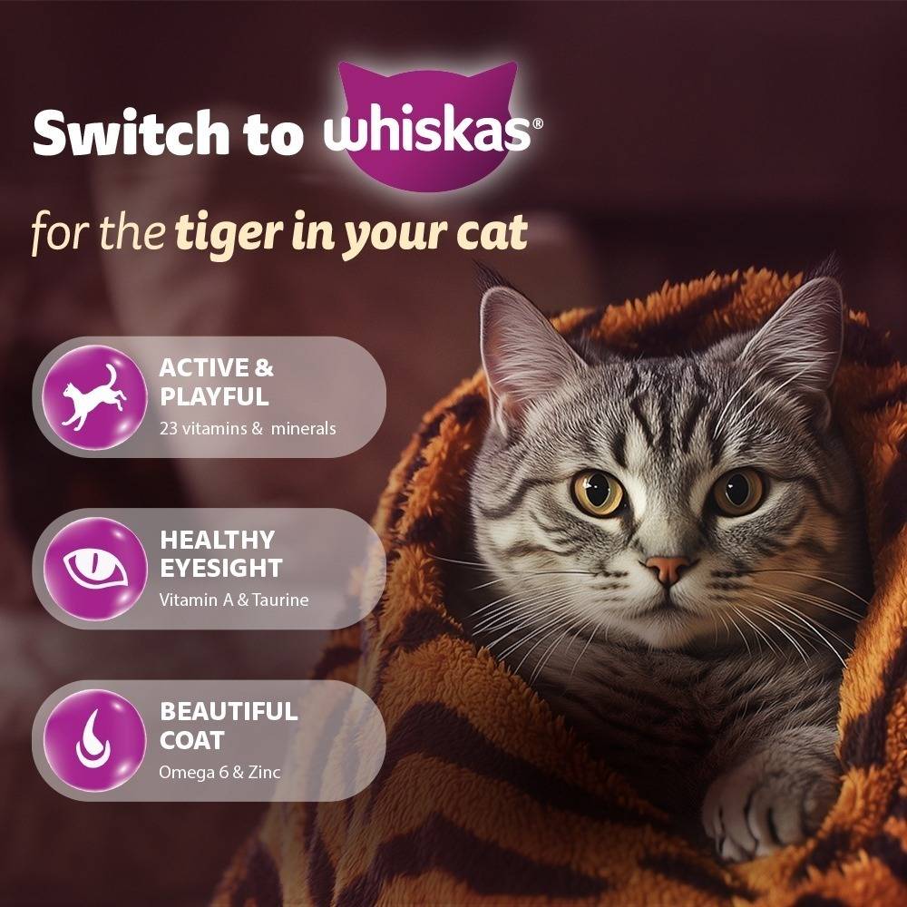 Whiskas Adult (1+ Years) Dry Cat Food, Chicken Flavour