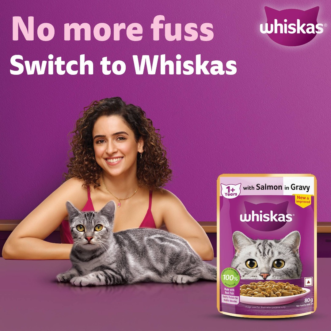 Whiskas Adult (1+ Years) Wet Cat Food, Salmon in Gravy, 80 g (Pack of 14)