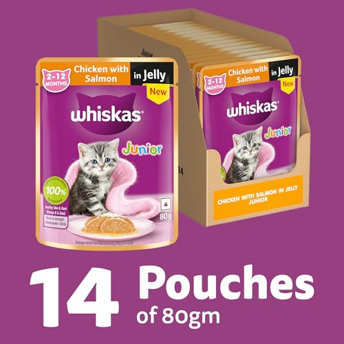 Whiskas Junior Kitten (2-12 Months) Wet Cat Food, Chicken with Salmon in Jelly, 80 g x 14