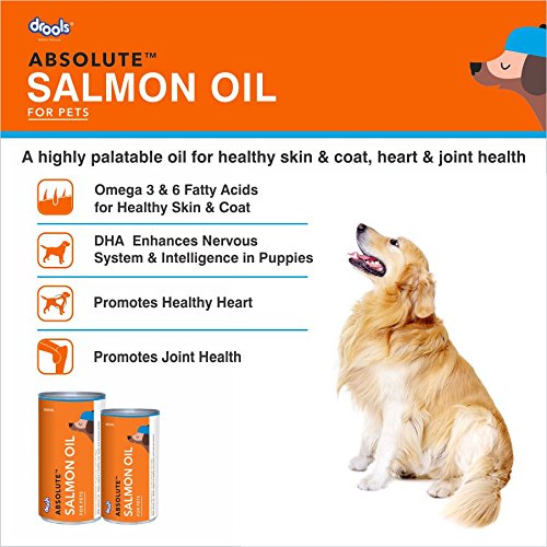 Drools Absolute Dog Supplement Syrup, Salmon Flavor 300 ml Jar