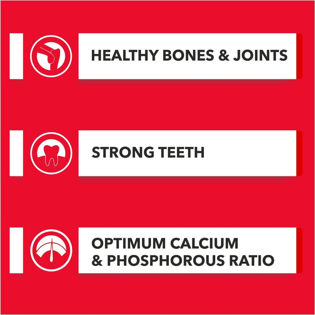 Drools Absolute Dog Supplement Treat Calcium Bone Jar - 40 Pieces (600G Pack), For All Life Stages