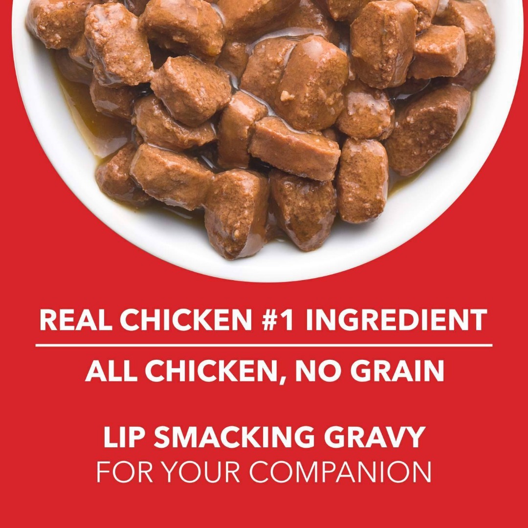 Drools Adult Wet Dog Food, Real Chicken And Chicken Liver Chunks In Gravy,(15 X 150G)