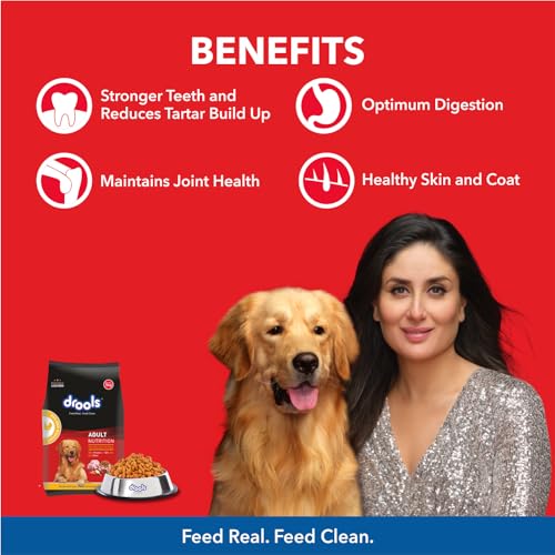 Drools Chicken And Egg Adult Dog Food