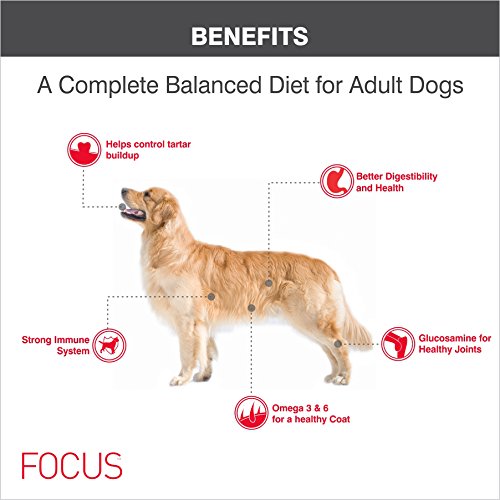 Drools Focus Adult Super Premium Dog Food