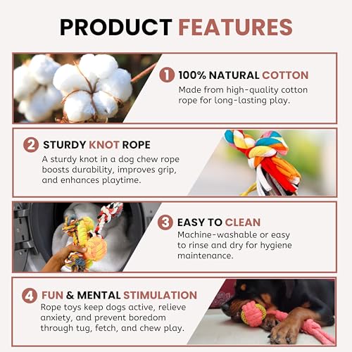 Foodie Puppies Dog Rope Combo Of 4 Chewing Teething Fetching Durable Toys For Puppies