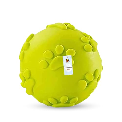 Foodie Puppies Latex Rubber Squeaky Dog Chew Ball To