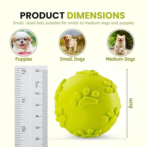 Foodie Puppies Latex Rubber Squeaky Dog Chew Ball Toy