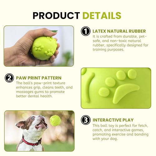 Foodie Puppies Latex Rubber Squeaky Dog Chew Ball Toy