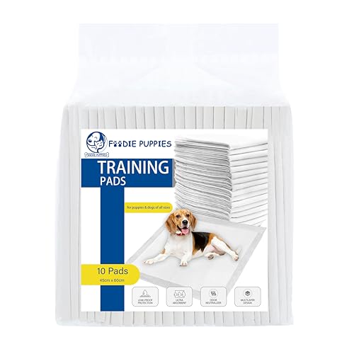 Foodie Puppies Pee & Potty Pet Training Pad (45X60Cm