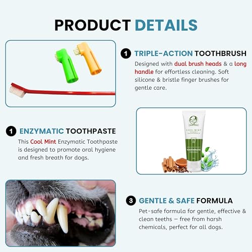 Foodie Puppies Pet Dental Oral Care Kit Combo - (Coolmint Toothpaste- 100G + 3Pcs Toothbrush) For Dogs