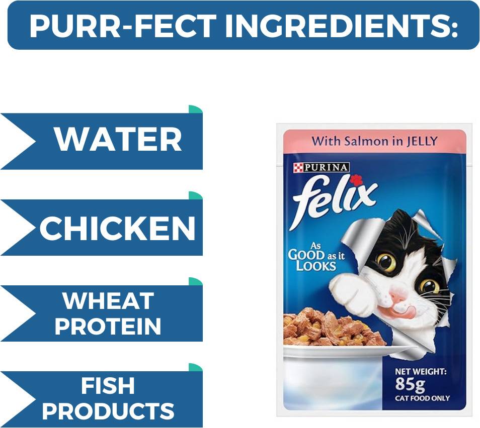 Purina Felix With Salmon In Jelly, Pack Of 12 Pouches (12 X 85 G)