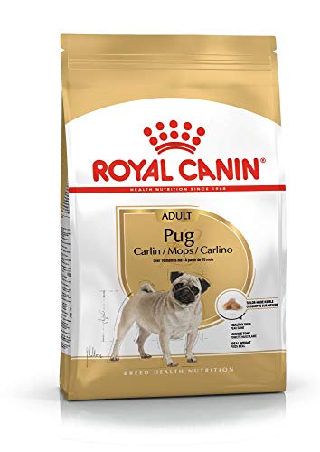 Royal Canin Pug Adult Dry Dog Food