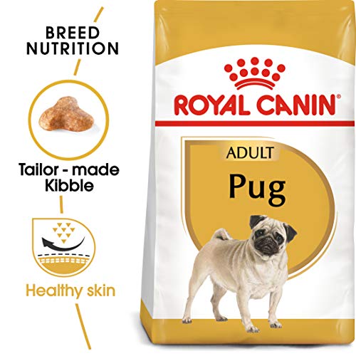 Royal Canin Pug Adult Dry Dog Food