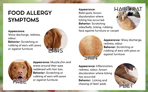 ZOOOP Vet Pro Hypoallergenic Adult Dog Dry Food