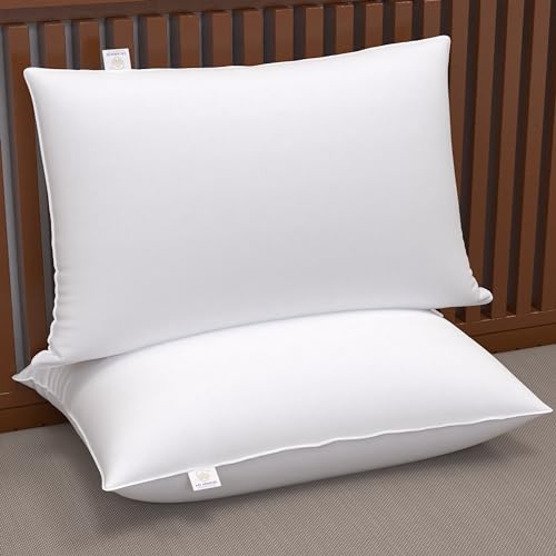 MY ARMOR Microfiber Pillows Set 2, Soft - 16 x 24 In