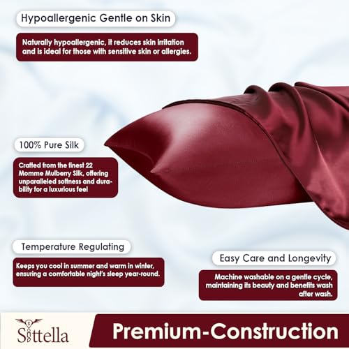 SITTELLA Set of 2 Satin Silk Pillow Cover (Maroon), 600 TC