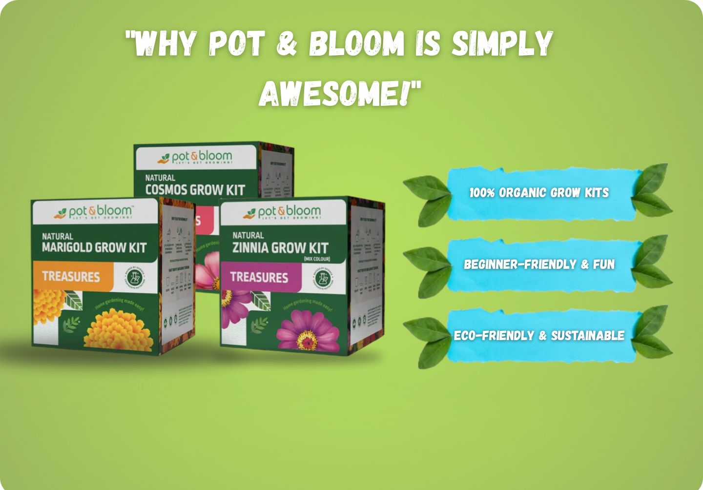 Store banner