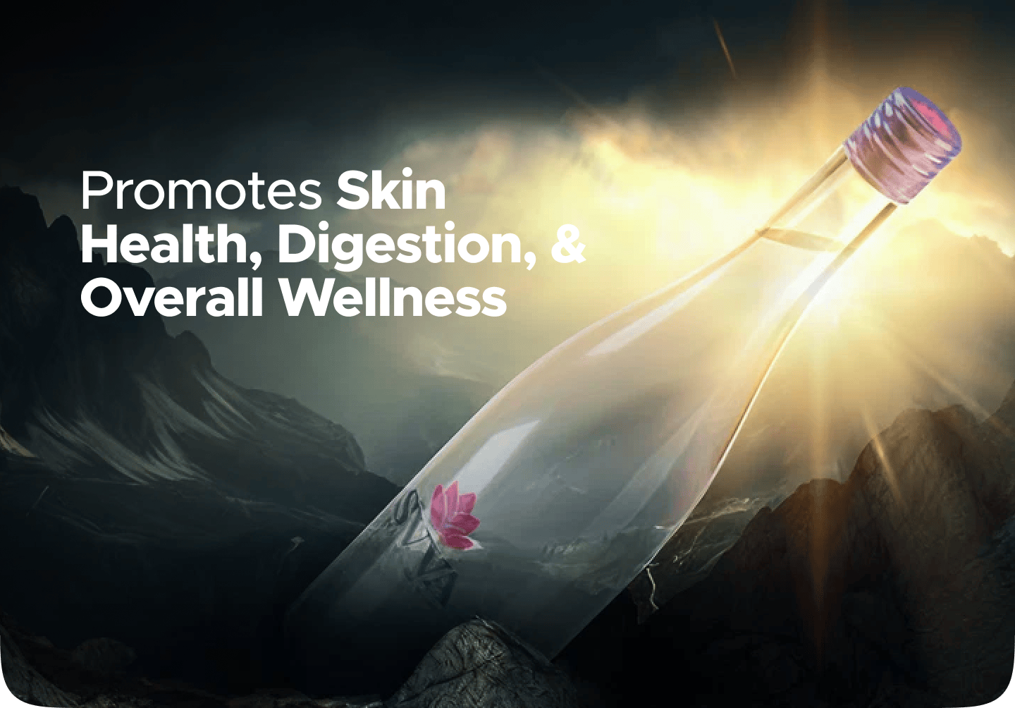 Store banner