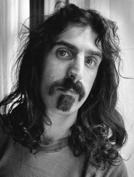 Zappa Beard style